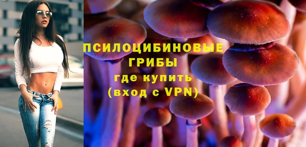 jwh Медногорск